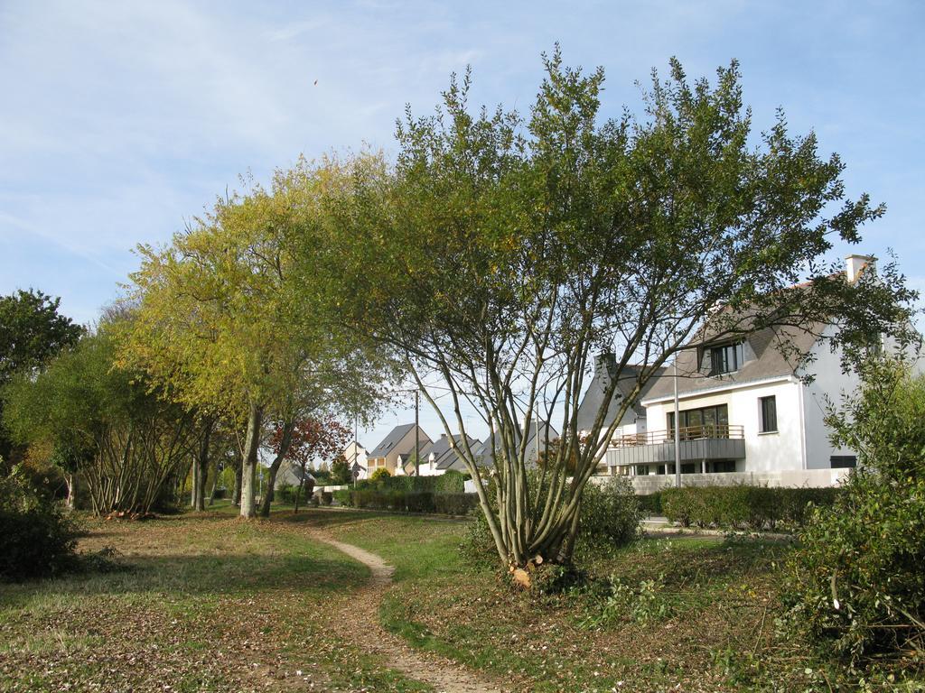 Villa pecheur Damgan Exterior foto